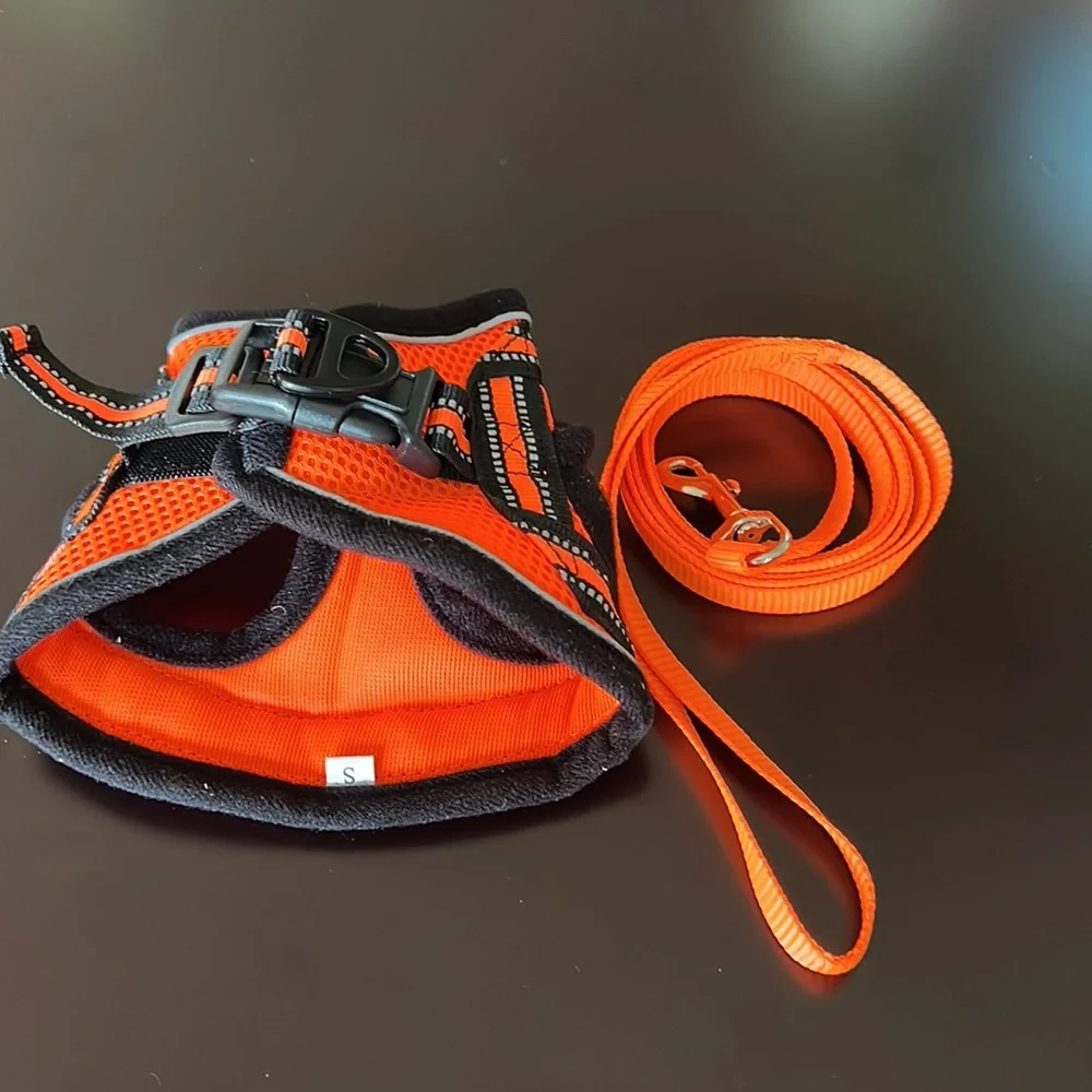 Cat harness and leash size Small